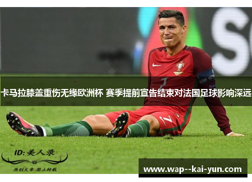 卡马拉膝盖重伤无缘欧洲杯 赛季提前宣告结束对法国足球影响深远 卡马拉膝盖重伤无缘欧洲杯 赛季提前宣告结束对法国足球影响深远
